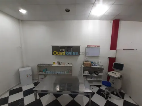 Veterinaire