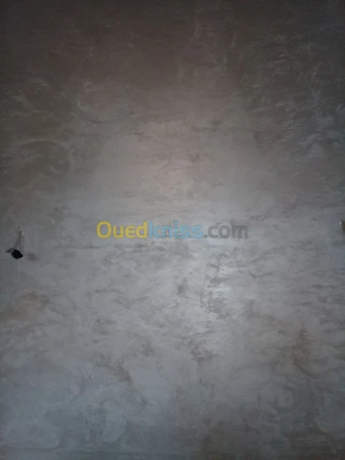 Peinture batiment 