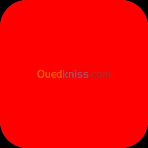 ETUDES EN ANGLETERRE - GB -