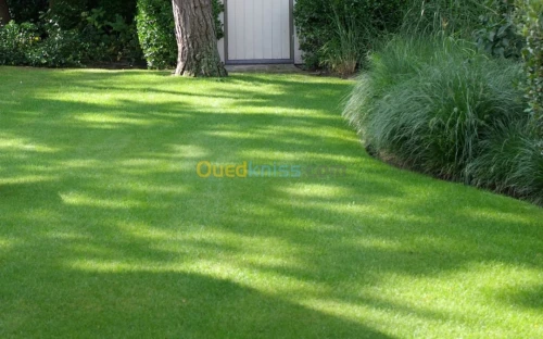 jardinage gazon 