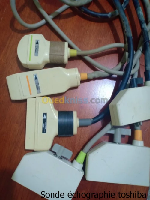 Sonde échographie toshiba