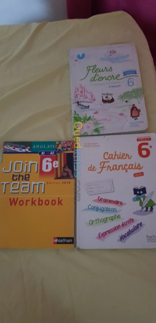 Livre primaire  3as et 3am francais