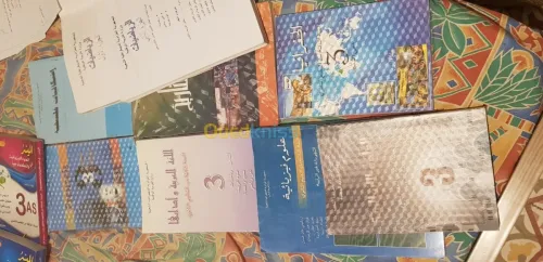 Livre primaire  3as et 3am francais