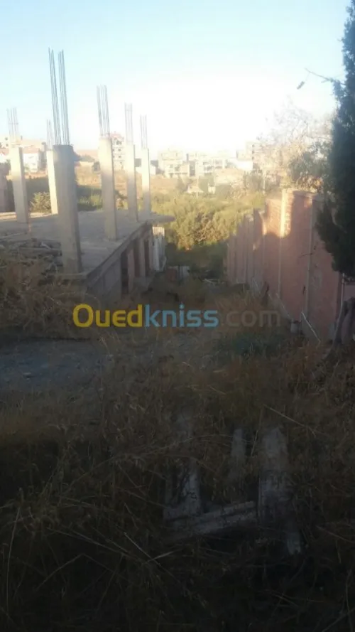 Vente Terrain Alger Birtouta