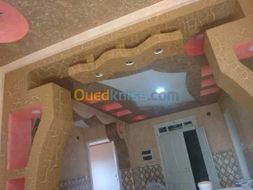 تركيب الاسقف الحديث بلاكو بلاطر بالديك