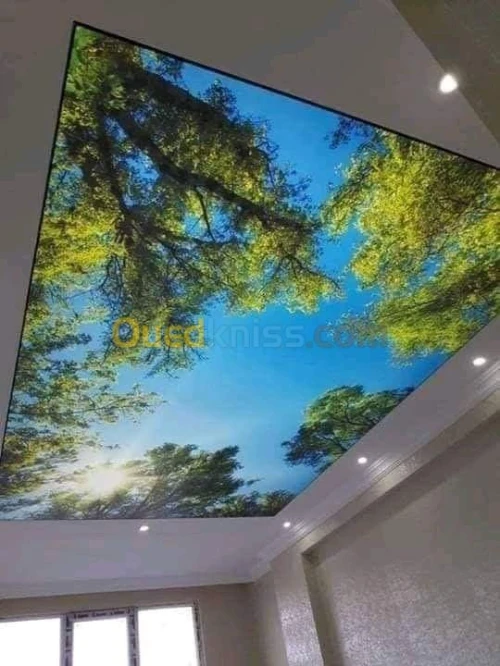 تركيب الاسقف الحديث بلاكو بلاطر بالديك