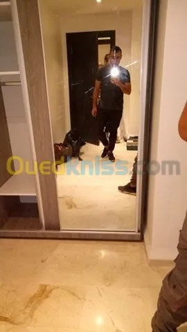 Aménagement intérieure