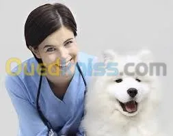 cabinet veterinaire baraka tiaret 