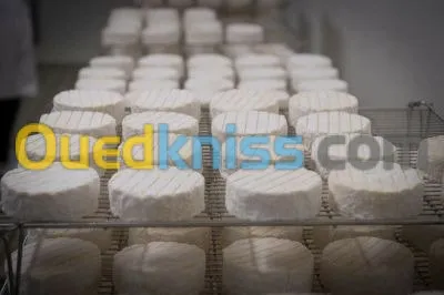 unité de fabrication camembert