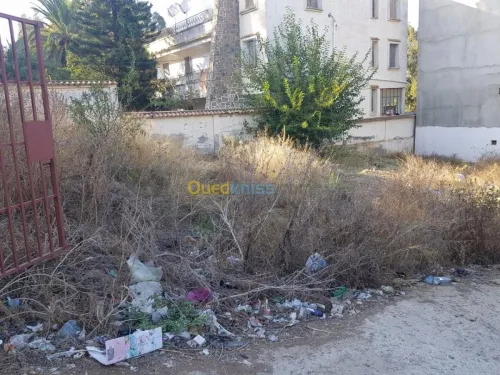 Vente Terrain Alger Khraissia