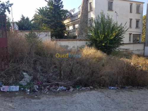Vente Terrain Alger Khraissia