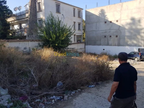 Vente Terrain Alger Khraissia