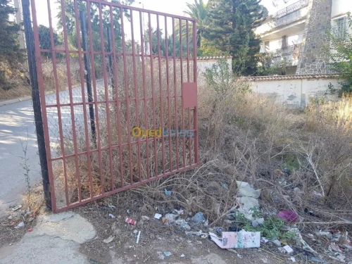 Vente Terrain Alger Khraissia