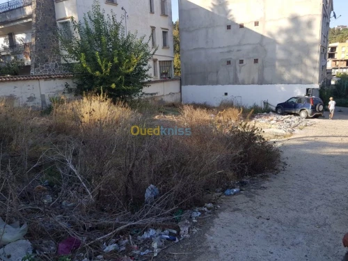 Vente Terrain Alger Khraissia