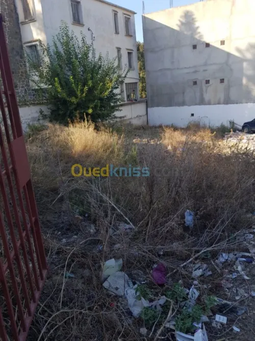 Vente Terrain Alger Khraissia
