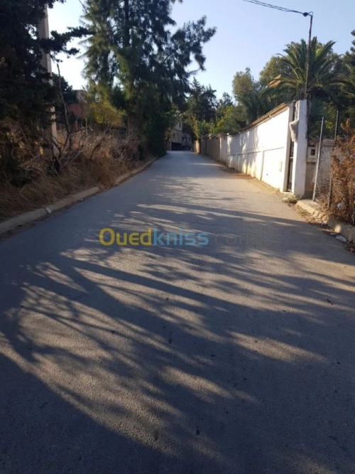 Vente Terrain Alger Khraissia