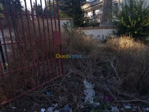 Vente Terrain Alger Khraissia