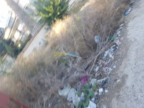 Vente Terrain Alger Khraissia