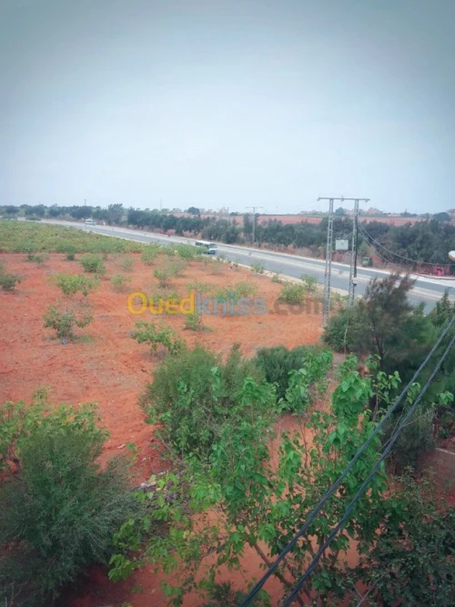 Vente Villa Mostaganem Hadjadj
