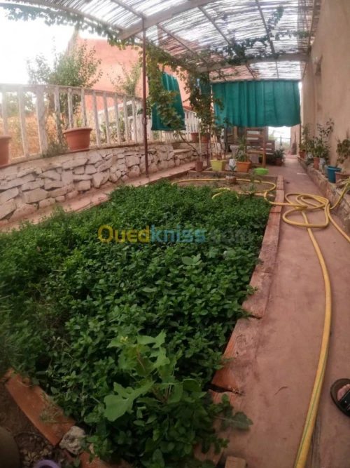 Vente Villa Saida Saida