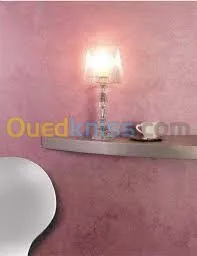 application de tout type  de peinture 