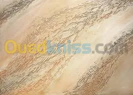 application de tout type  de peinture 