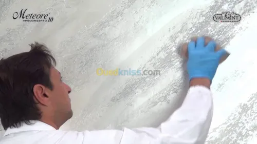 application de tout type  de peinture 