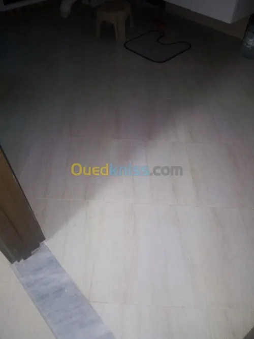 carreleur professionnelle