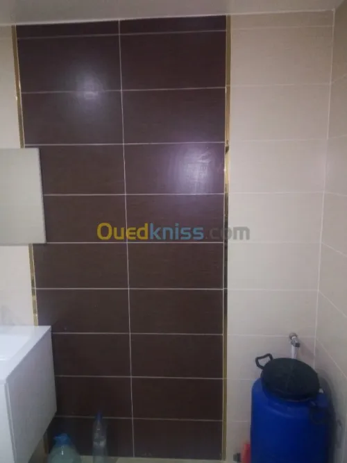 carreleur professionnelle