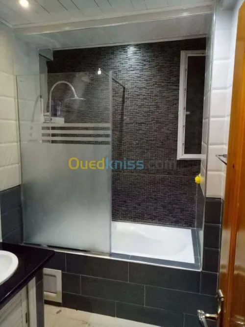 menuiserie aluminium,vitrines,PVC,Mur 