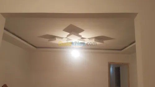 Plako platr decoration et pvc 
