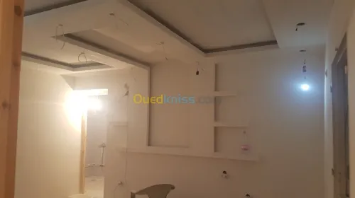 Plako platr decoration et pvc 
