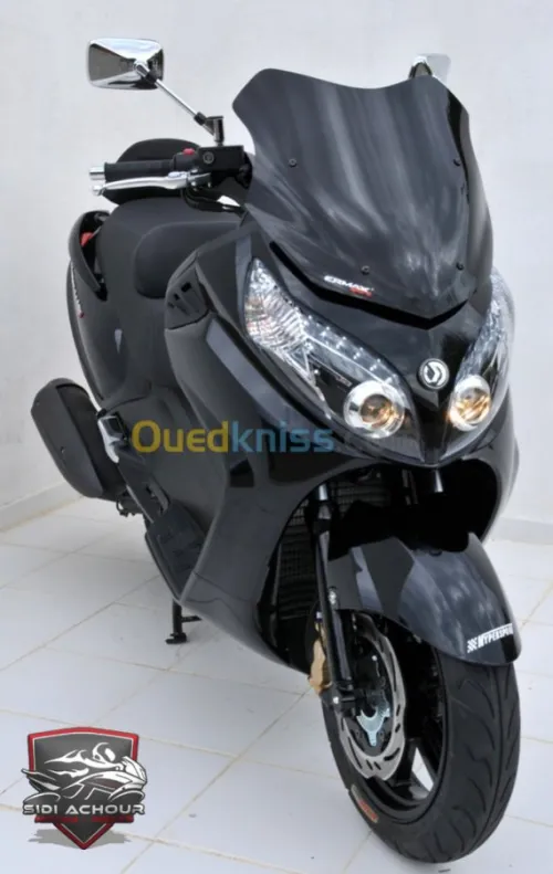 Pare brise sport Ermax pour MAXSYM