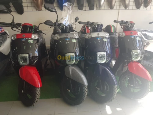 Vms Cuxi 1 2023