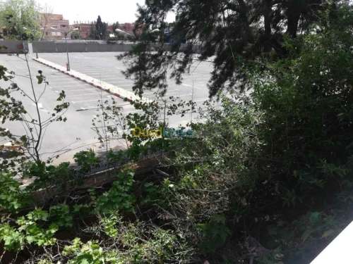Vente Villa Alger Cheraga