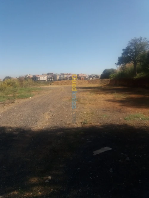 Location Terrain Alger Draria