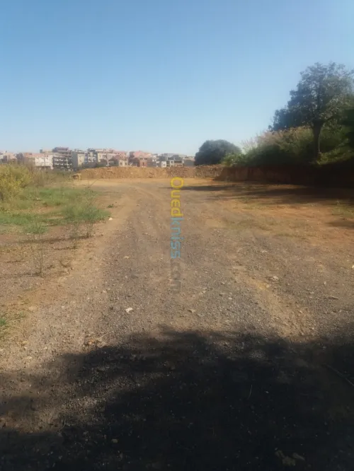Location Terrain Alger Draria