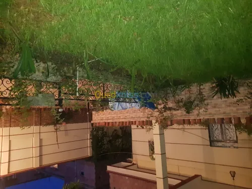 Aménagement espace vert et gazon 