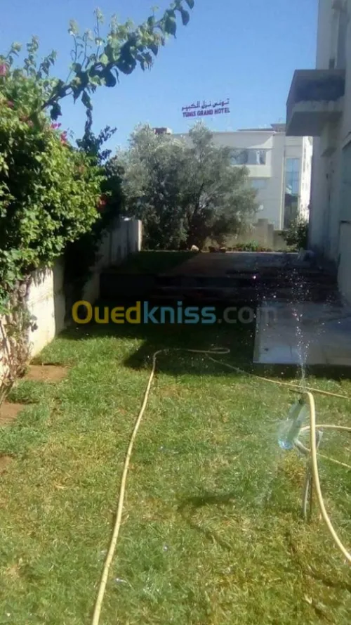 Aménagement espace vert et gazon 