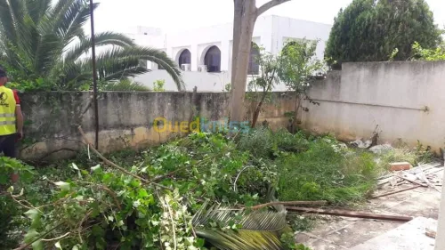 Aménagement espace vert et gazon 