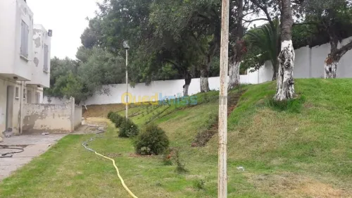 Aménagement espace vert et gazon 