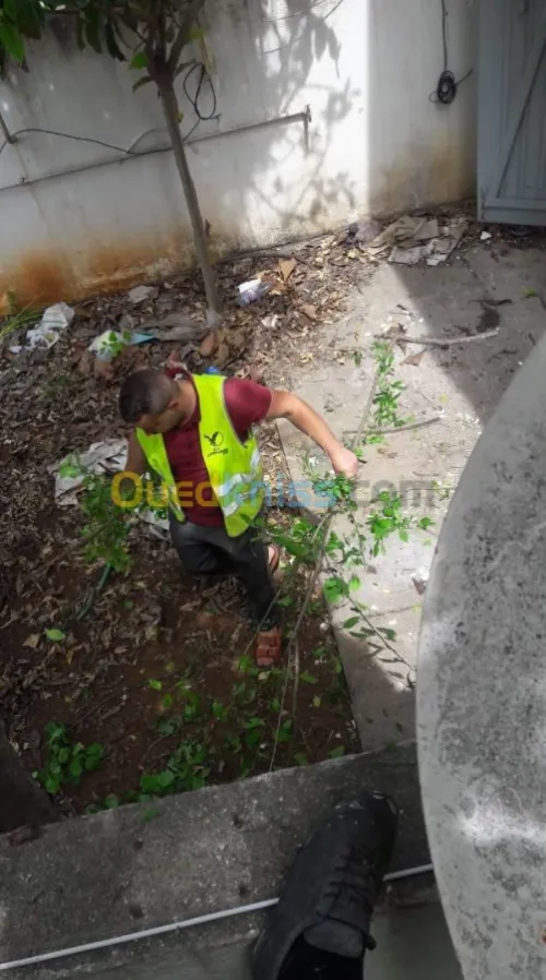 Aménagement espace vert et gazon 