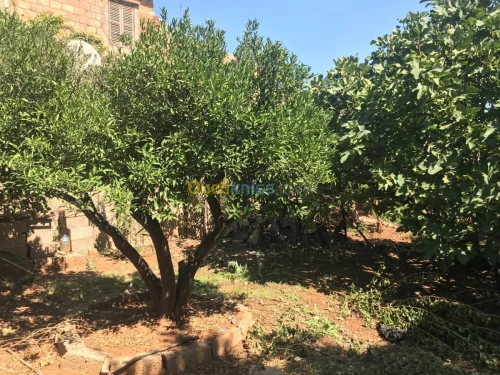 Vente Appartement F3 Bejaia Akbou