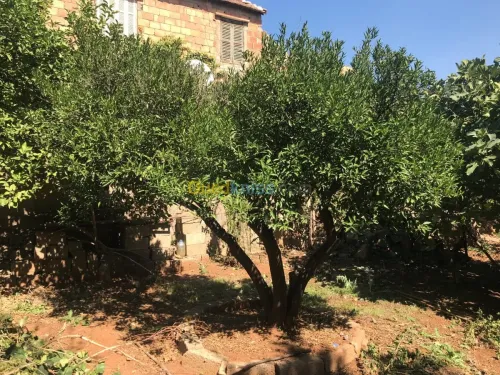 Vente Appartement F3 Bejaia Akbou