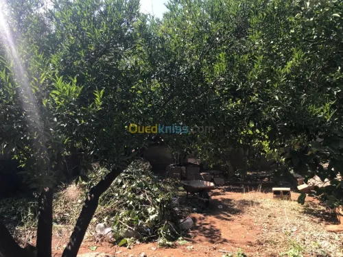 Vente Appartement F3 Bejaia Akbou