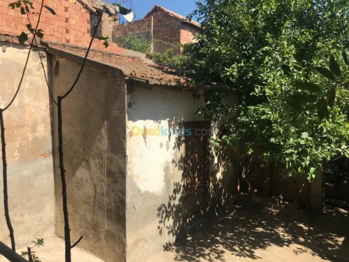 Vente Appartement F3 Bejaia Akbou
