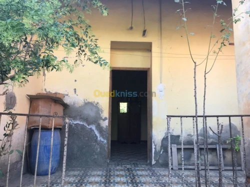 Vente Appartement F3 Bejaia Akbou