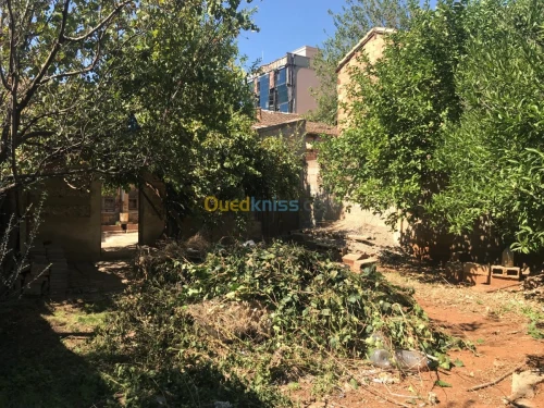 Vente Appartement F3 Bejaia Akbou