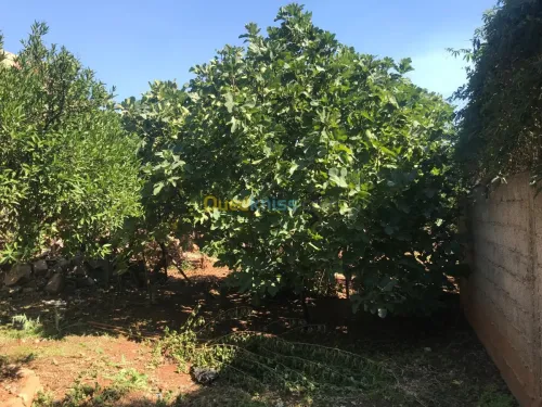 Vente Appartement F3 Bejaia Akbou