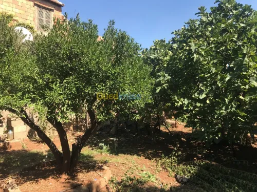 Vente Appartement F3 Bejaia Akbou